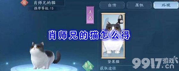 新笑傲江湖肖师兄的猫怎么获得？