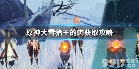 原神大雪猪王的肉如何获取 原神大雪猪王的肉获取攻略_9917手游