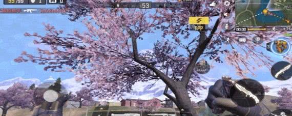 使命召唤手游升级攻略：快速提升等级技巧分享