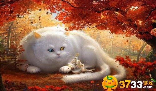 妄想山海大猫朏朏怎么样大猫朏朏介绍攻略