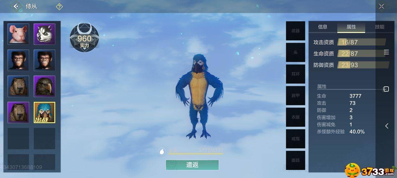 妄想山海金刚鹦鹉多少钱金刚鹦鹉价格介绍