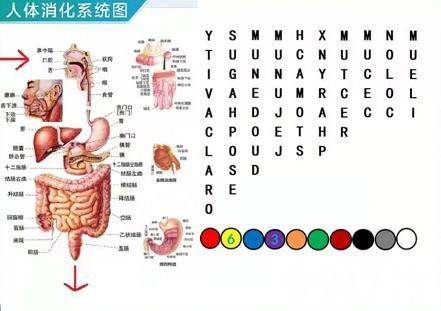 犯罪大师八月竞技赛场密室逃脱答案是什么 密室逃脱答案大全