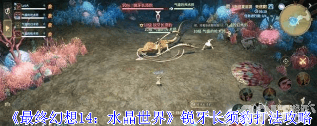最终幻想14水晶世界沙斯塔夏溶洞咋玩 麦迪逊船长打法