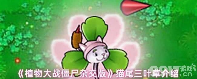 植物大战僵尸杂交版玩偶匣南瓜头咋玩 黑橄榄僵尸属性介绍