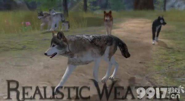 《野狼模拟器2》设置中文方法介绍 生小狼攻略