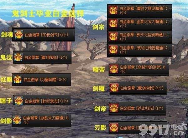 DNF全职业白金徽章如何选择 全职业白金徽章选择指南  第3张