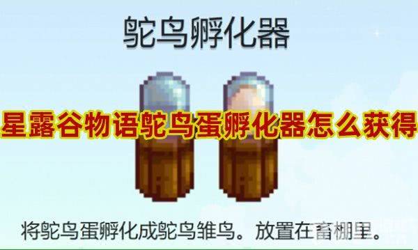 星露谷物语鸵鸟蛋孵化器如何获取 鸵鸟蛋孵化器获得方法