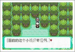 口袋妖怪漆黑的魅影5.0ex+bw如何玩 漆黑的魅影5.0ex+bw玩法分享  第10张