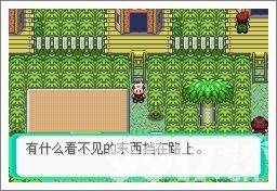 口袋妖怪漆黑的魅影5.0ex+bw如何玩 漆黑的魅影5.0ex+bw玩法分享  第105张