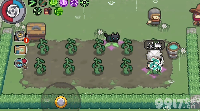 《元气骑士前传》种植植物啥时候成熟 种植植物成熟时间解析  第3张