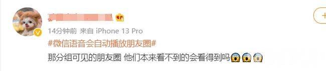 网友：游街示众的社死！微信语音竟会自动播放对方朋友圈