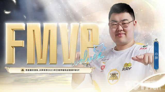 《王者荣耀》FMVP选手定制皮肤即将来袭!预计给到裴擒虎