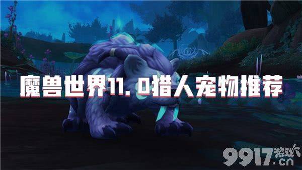 魔兽世界11.0猎人都可以选择哪些宠物 宠物选择指南
